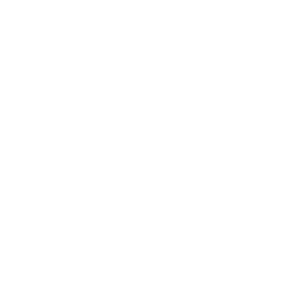 alÚmyna (boreart esquadria) (1)